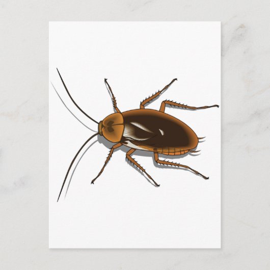 Realistisch-bruin-Cockroach Insect Briefkaart (Voorkant)