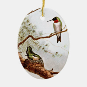 Realistisch met ruby-Throated Hummingbird Art Keramisch Ornament