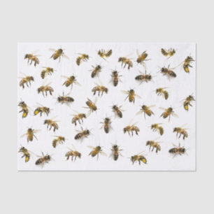 Realistisch restanten van honingbijen of deklaagpa tissuepapier