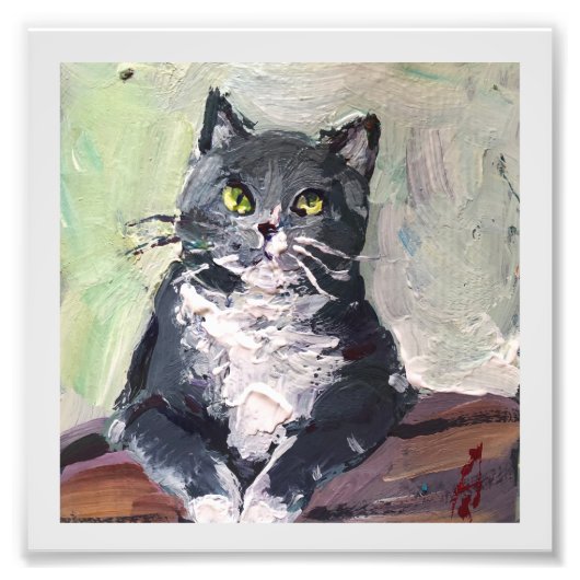 Realistisch schilderen, kat foto afdruk (Voorkant)