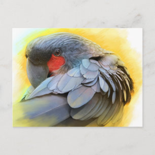 Realistisch schilderij van Black Palm Cockatau Briefkaart