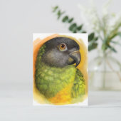 Realistisch schilderij van Senegal Briefkaart (Staand voorkant)