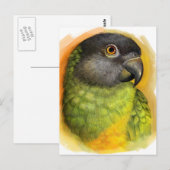 Realistisch schilderij van Senegal Briefkaart (Voorkant / Achterkant)