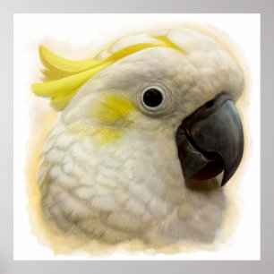 Realistisch schilderij van zwavelCrested Cockatau Poster