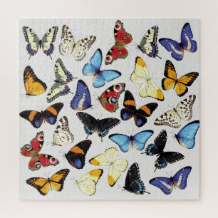 Realistisch vlinders collectie. legpuzzel