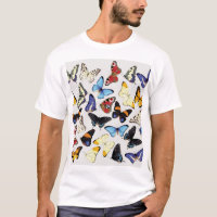 Realistisch vlinders collectie.