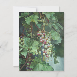 Realistische druivenrank met bladeren – Fijne Kuns Briefkaart