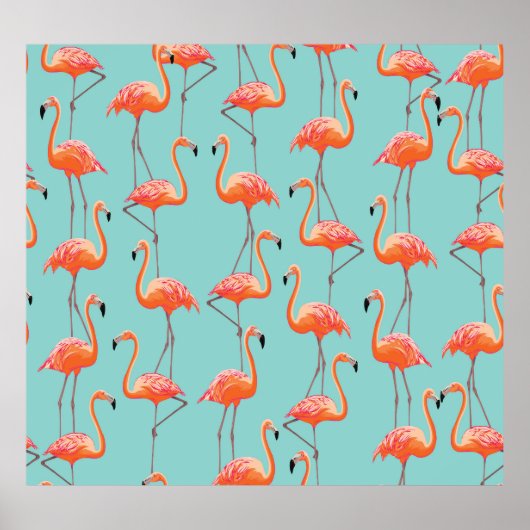 Realistische flamingo: vogelpatroon poster (Voorkant)