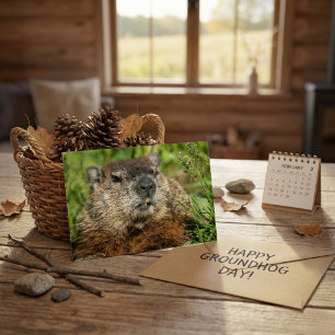 Realistische foto van een bosmarmot van dichtbij i briefkaart