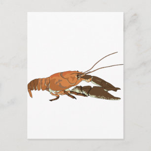 Realistische krayfish/Crawdad Briefkaart