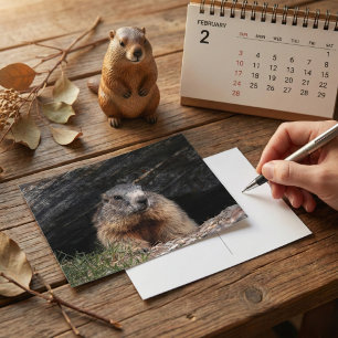 Realistische natuur marmot die uit rotsachtige gro briefkaart