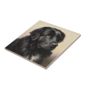realistische verf voor Newfoundlandhond Tegeltje (Zijkant)