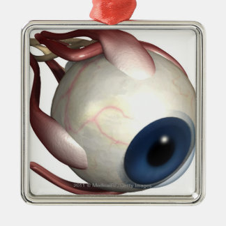 Realistische weergave van de spieren van het oog metalen ornament