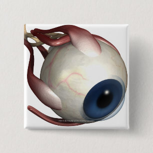 Realistische weergave van de spieren van het oog vierkante button 5,1 cm