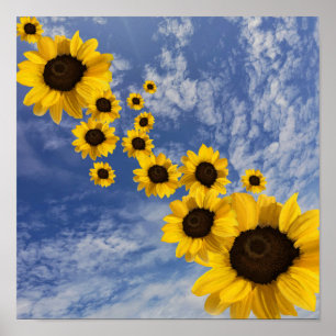 Realistische zonnebloemen in een blauwe hemel poster