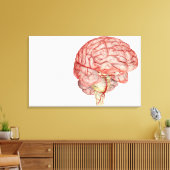Realitische weergave van het menselijk brein canvas afdruk (Insitu (Woonkamer))