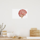 Realitische weergave van het menselijk brein poster (Keuken)