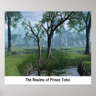 Realms of Prince Tobo Poster