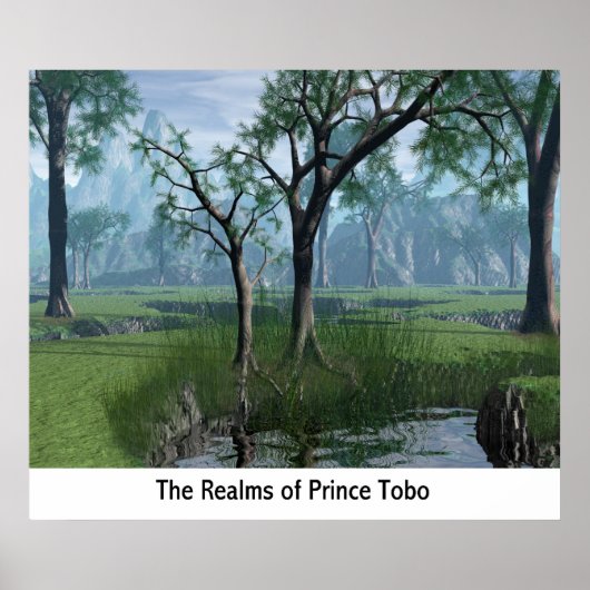 Realms of Prince Tobo Poster (Voorkant)