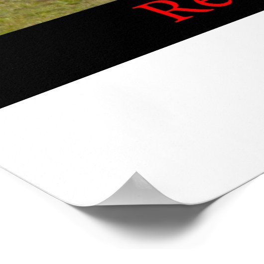 Realspeed Advantage Poster (Hoek)