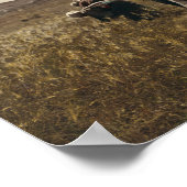 Reaping van de gerstoogst op de velden van Bethleh Poster (Hoek)