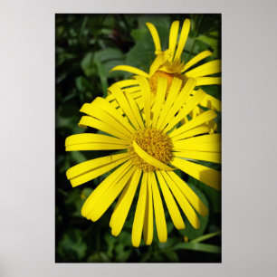 rebellenbladen poster