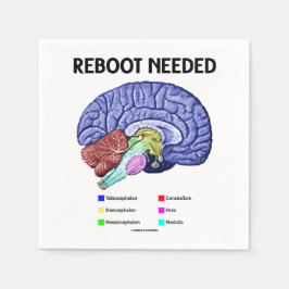Reboot Noed Brain Anatomy Geek Humor Servet