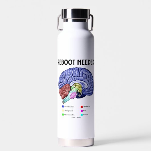 Reboot Noed Brain Anatomy Geek Humor Waterfles (Voorkant)