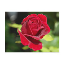 Receptenkaart Chocolade Chip Pindakaas Cookie