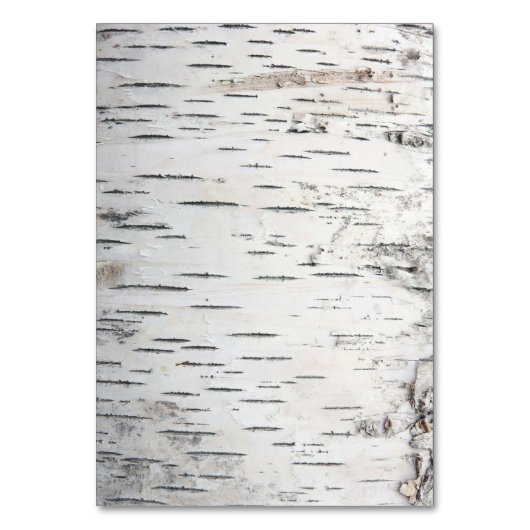 Réception de mariage de Birch Tree + Cartes d'hébe (Dos)