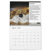 Recettes grecques du calendrier (Feb 2027)
