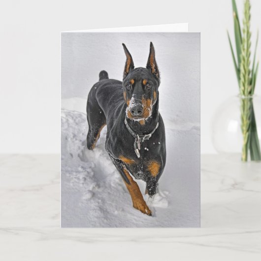 Receveur de Snowball de carte de vacances de (Devant)