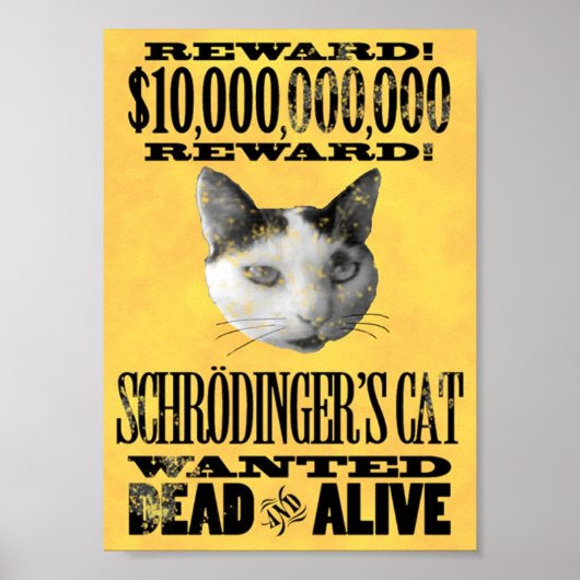 RECHERCHÉ : affiche du CAT de SCHRODINGER (Devant)