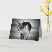 recherche carte de voeux chat (Fleur jaune)
