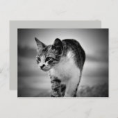 recherche carte postale (Devant / Derrière)