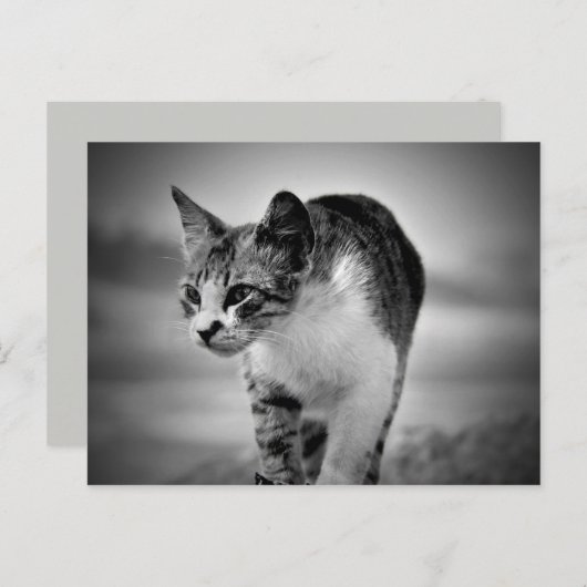 recherche carte postale (Devant / Derrière)