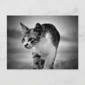 recherche carte postale (Devant)