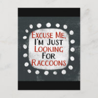 Recherche De Carte Postale Raccoons