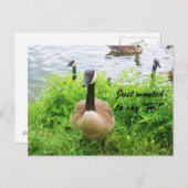 RECHERCHÉ DE DIRE "SALUT !" carte postale (Devant / Derrière)