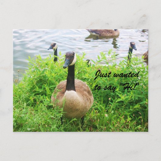 RECHERCHÉ DE DIRE "SALUT !" carte postale (Devant)