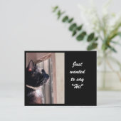 RECHERCHÉ DE DIRE "SALUT !" Carte postale Kitty (Debout devant)