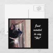 RECHERCHÉ DE DIRE "SALUT !" Carte postale Kitty (Devant / Derrière)
