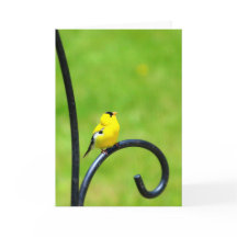 Recherche de la carte de voeux