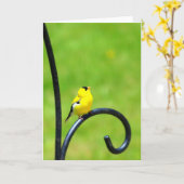 Recherche de la carte de voeux (Fleur jaune)