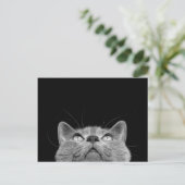 Recherche - de la carte postale (Debout devant)