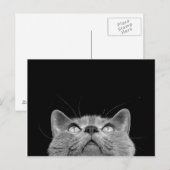 Recherche - de la carte postale (Devant / Derrière)