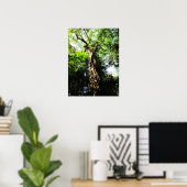 Recherche d'un grand arbre dans la forêt - Poster (Bureau à domicile)
