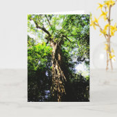 Recherche d'un grand arbre en forêt - Cartes de vo (Fleur jaune)