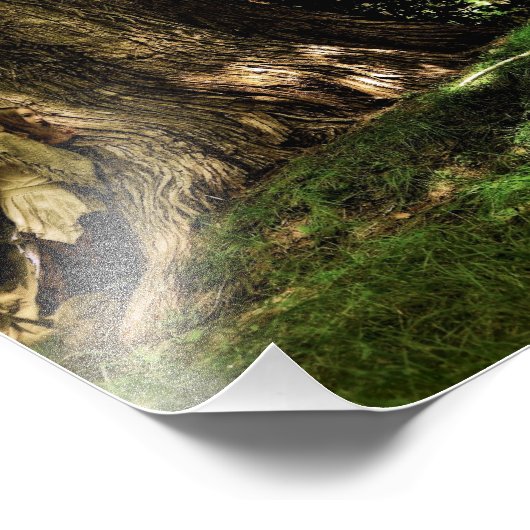 Recherche d'une impression photo de fée (Coin)