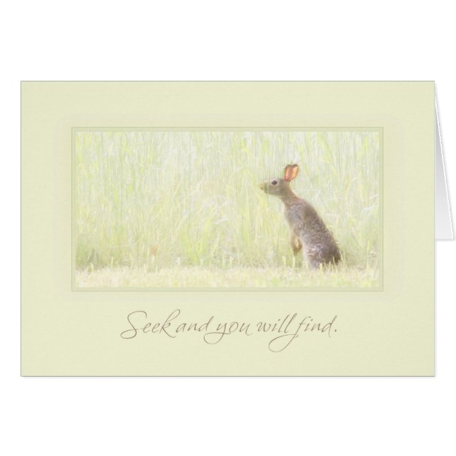 Recherche et découverte (Devant horizontal)